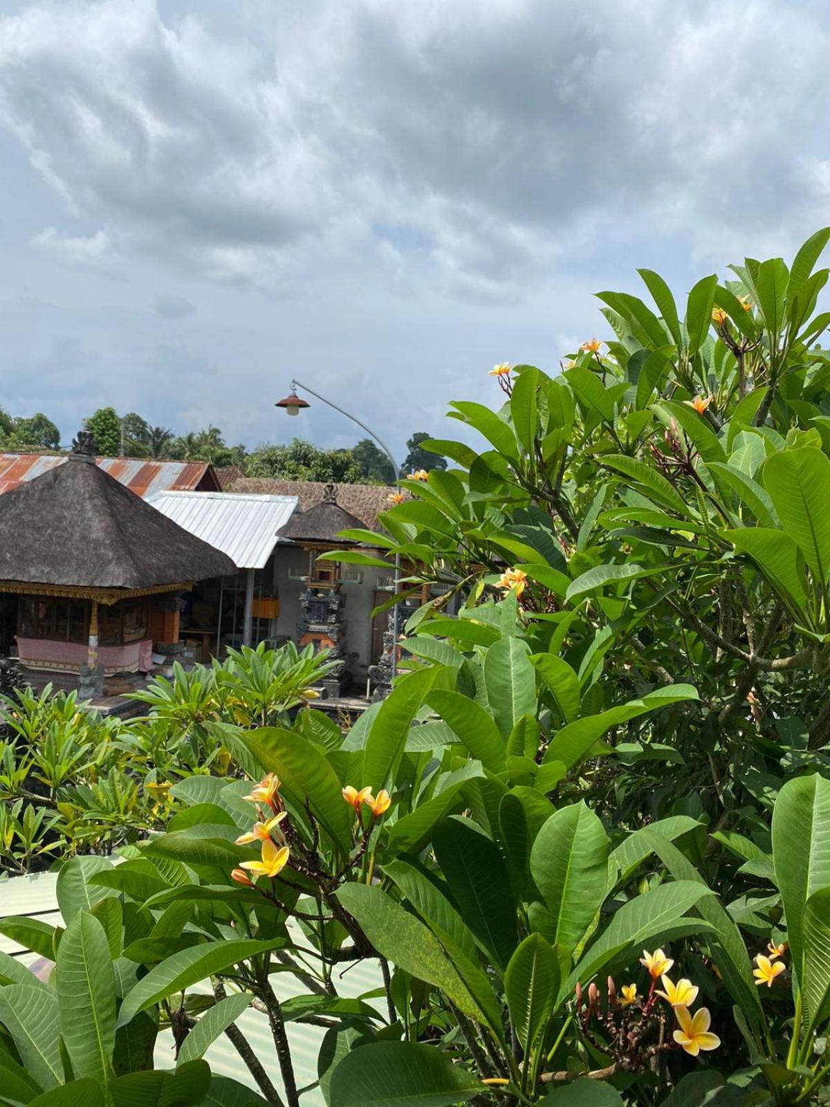 Guest house Cuan House Ubud (Bali)